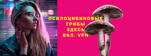 ПСИЛОЦИБИНОВЫЕ ГРИБЫ Армянск