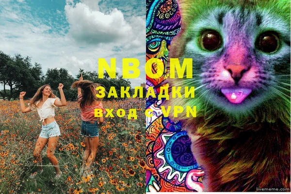 ПСИЛОЦИБИНОВЫЕ ГРИБЫ Армянск