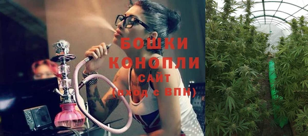 эйфоретик Арсеньев