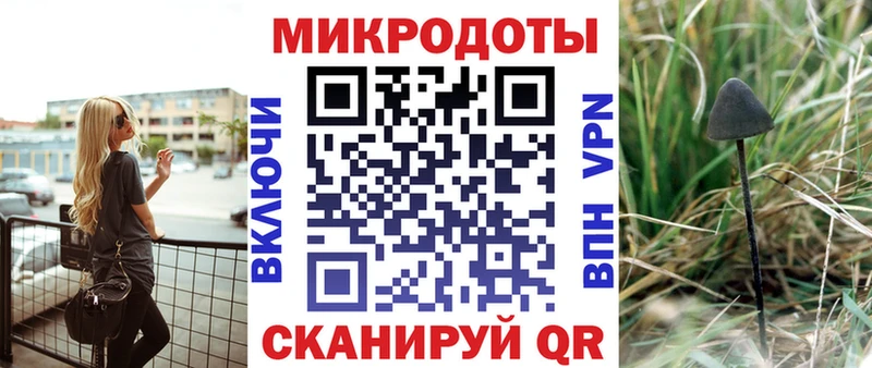 Галлюциногенные грибы Psilocybe  mega ССЫЛКА  Бабушкин 